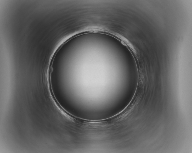 X0000114721343200910211339