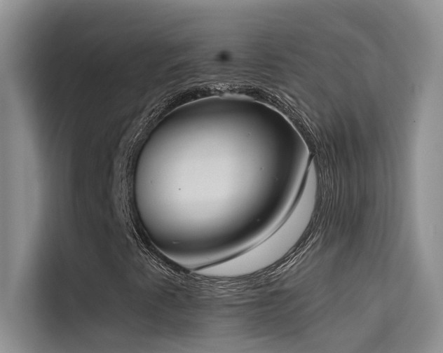 X0000114721345200910211339