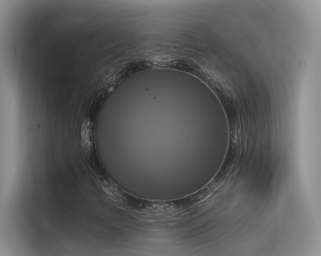 X0000114721346200910211339