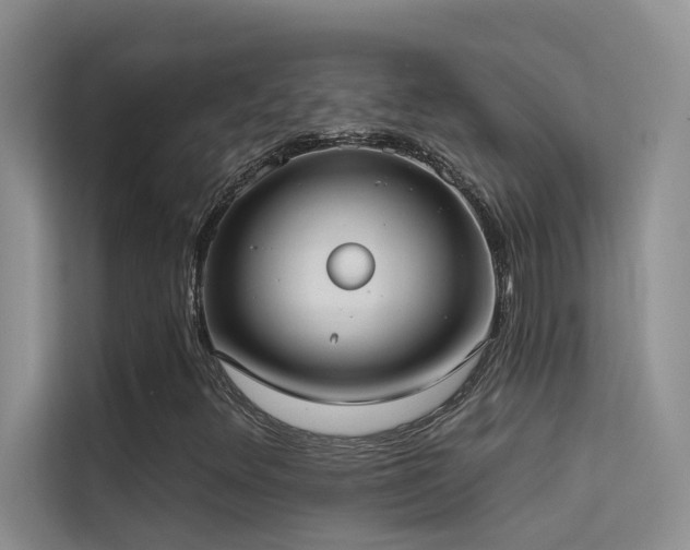 X0000114721348200910211339