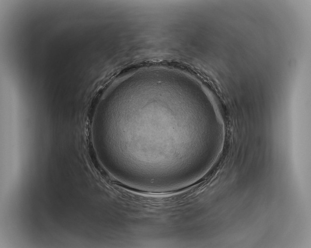 X0000114721349200910211339