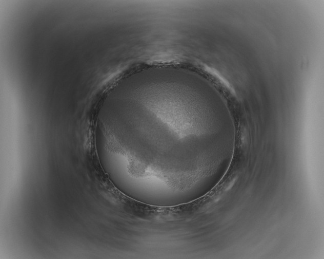 X0000114721350200910211339