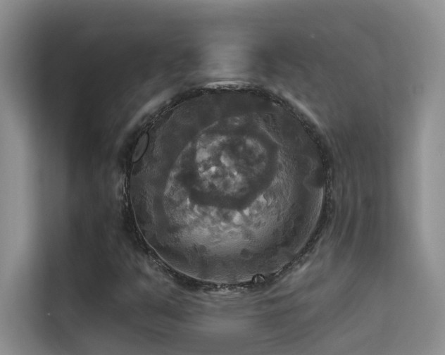 X0000114721351200910211339