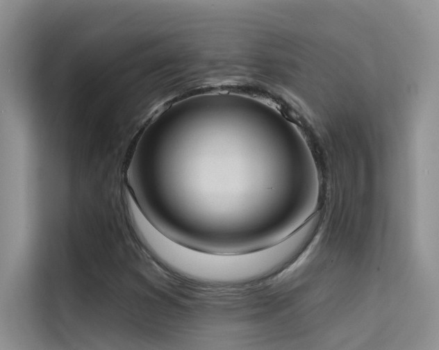 X0000114721353200910211339