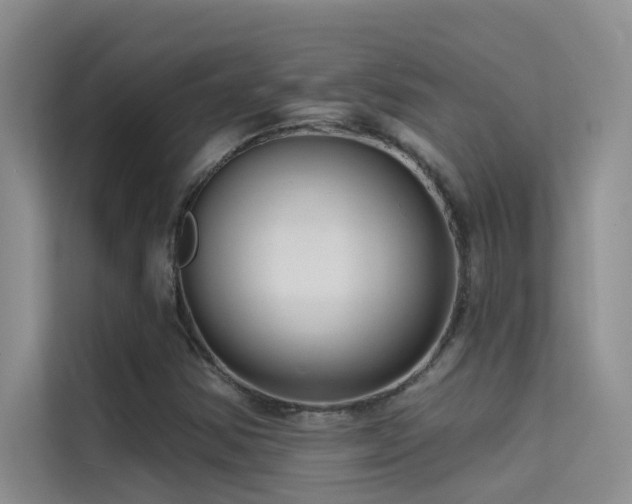 X0000114721354200910211339