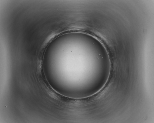 X0000114721355200910211339