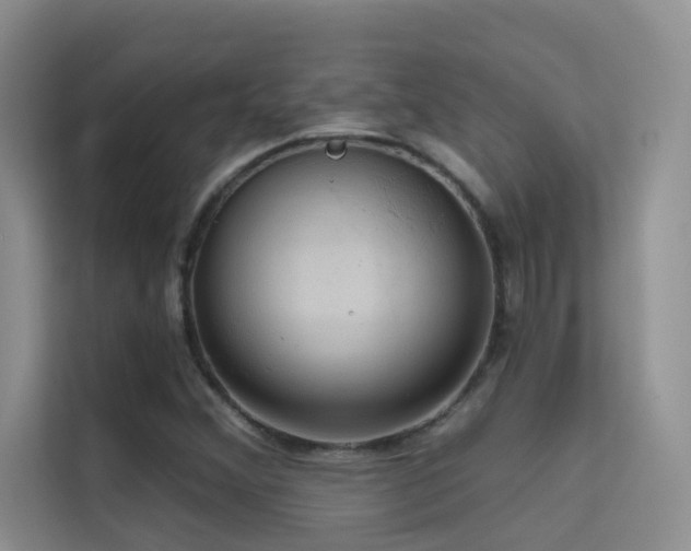 X0000114721356200910211339