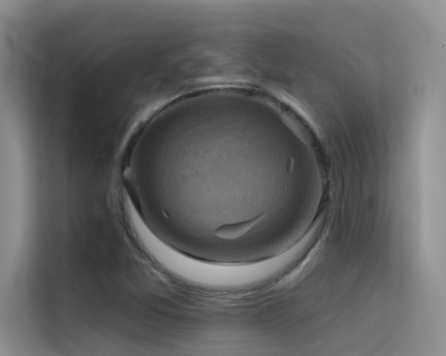 X0000114721357200910211339