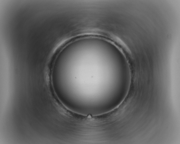 X0000114721360200910211339