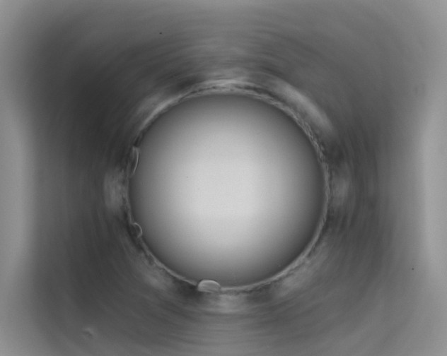 X0000114721361200910211339