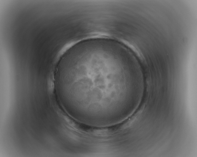 X0000114721363200910211339