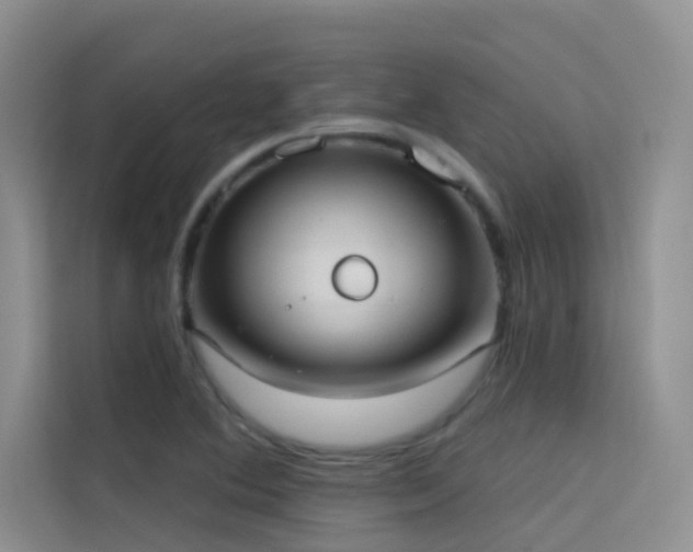 X0000114721364200910211339