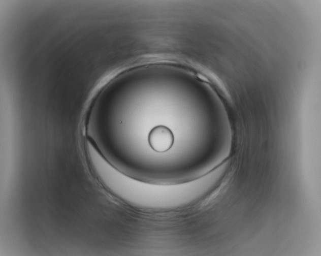 X0000114721365200910211339