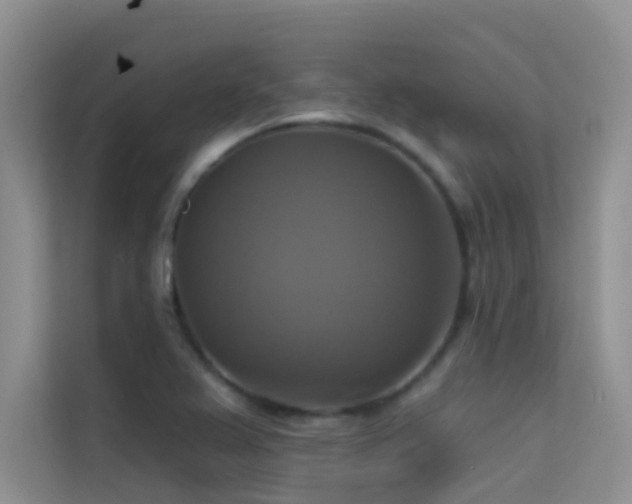 X0000114721367200910211339