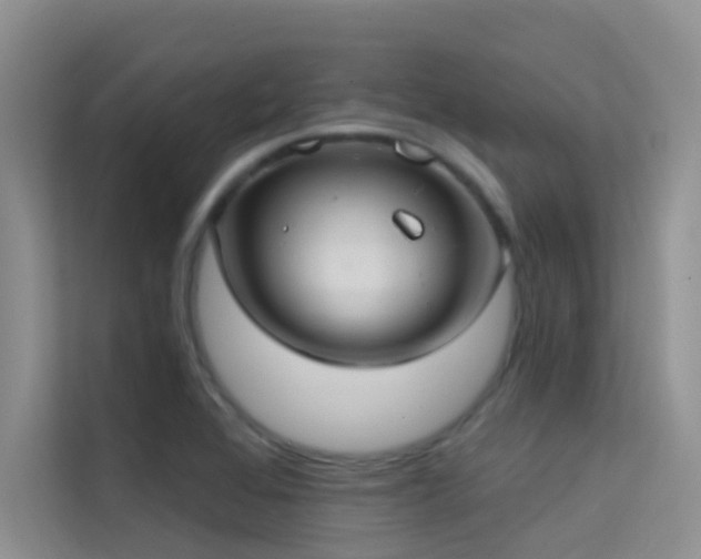 X0000114721368200910211339