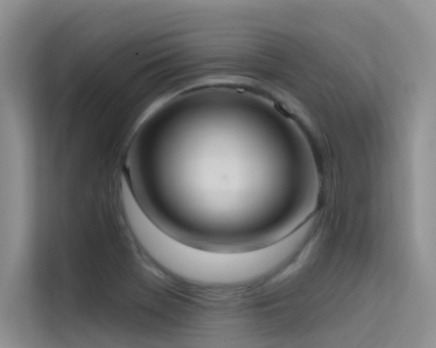 X0000114721369200910211339