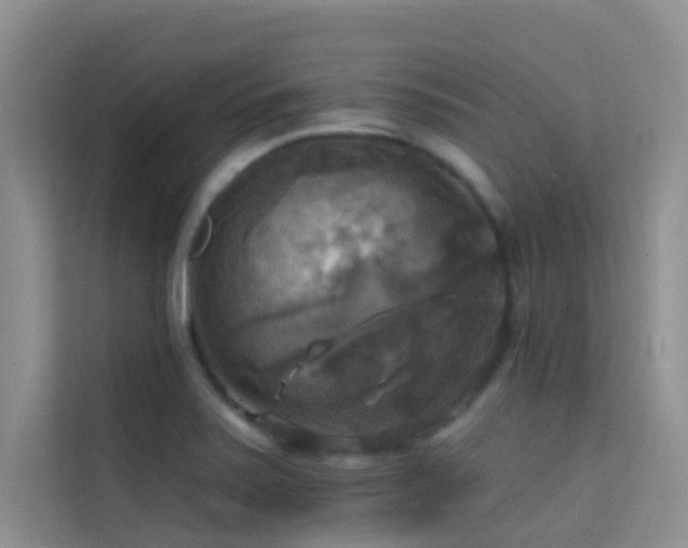 X0000114721371200910211338