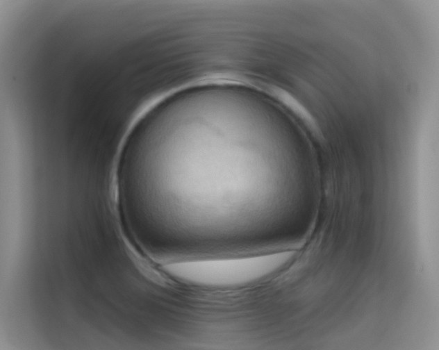 X0000114721372200910211338