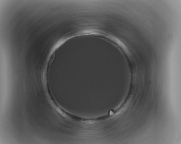 X0000114721373200910211338