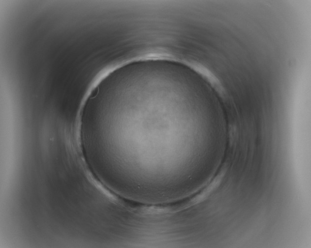 X0000114721374200910211338