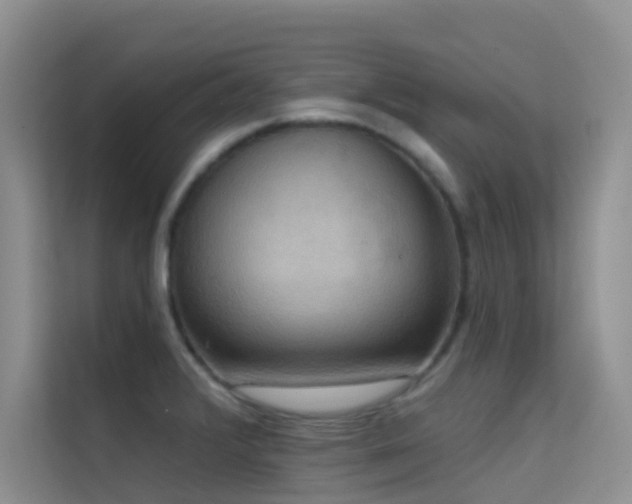 X0000114721376200910211338