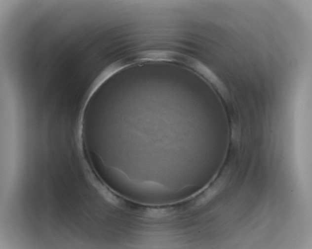 X0000114721378200910211338