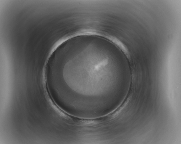 X0000114721382200910211338