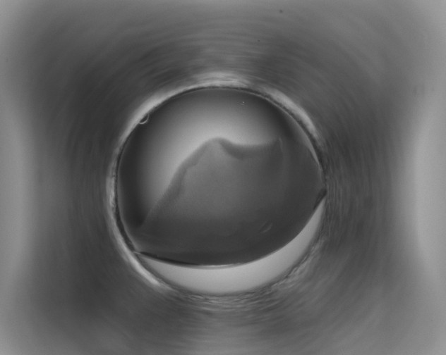 X0000114721383200910211338