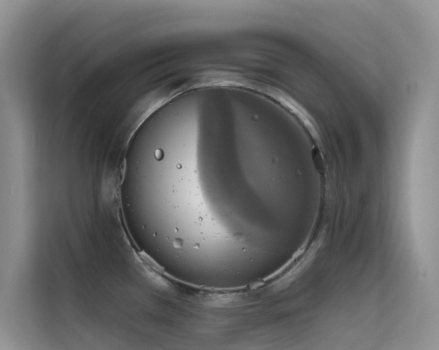 X0000114721385200910211338