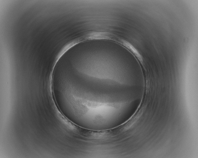 X0000114721386200910211338