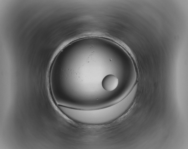 X0000114721389200910211338