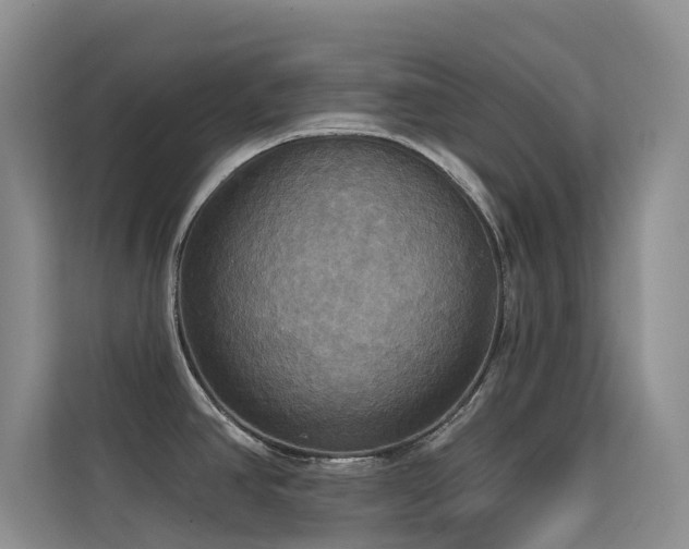 X0000114721390200910211338