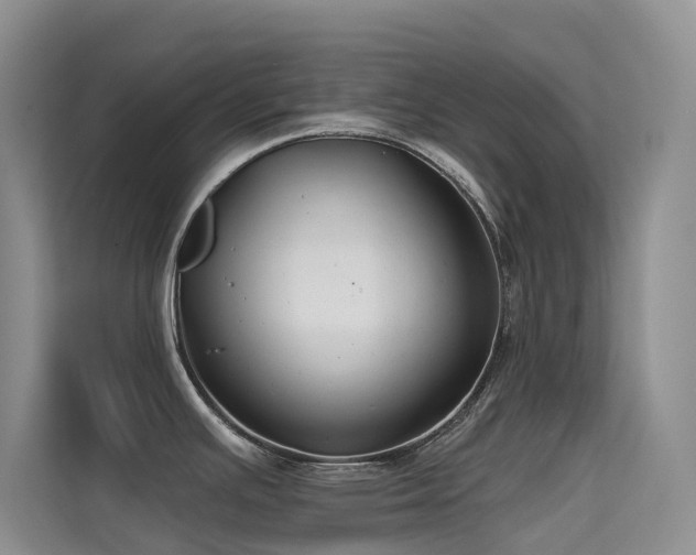 X0000114721391200910211338