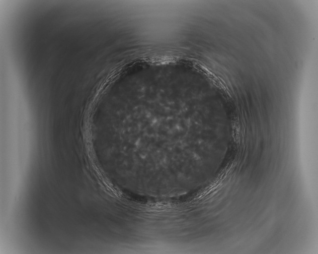 X0000114721393200910211338