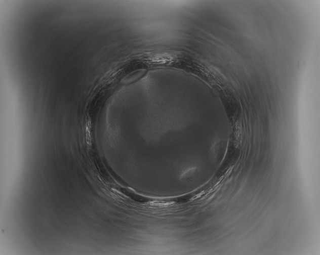 X0000114721394200910211338