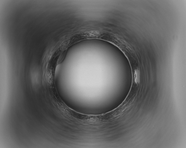 X0000114721395200910211338