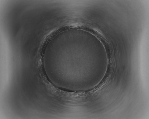 X0000114721398200910211338