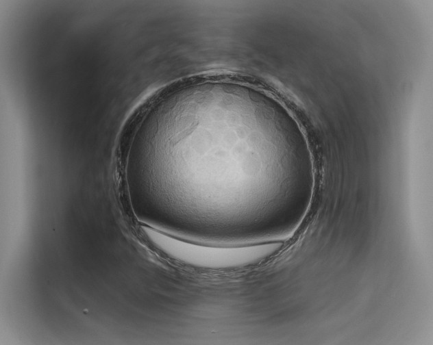 X0000114721400200910211338