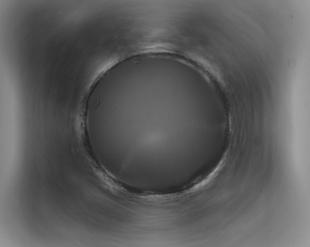 X0000114721405200910211338