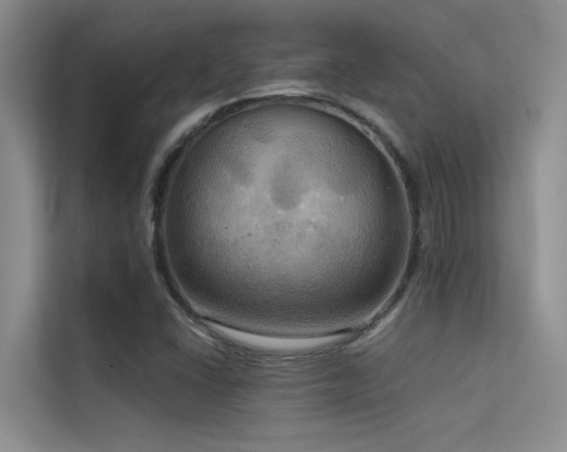 X0000114721406200910211338