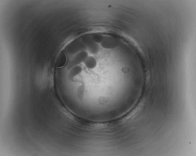 X0000114721409200910211338