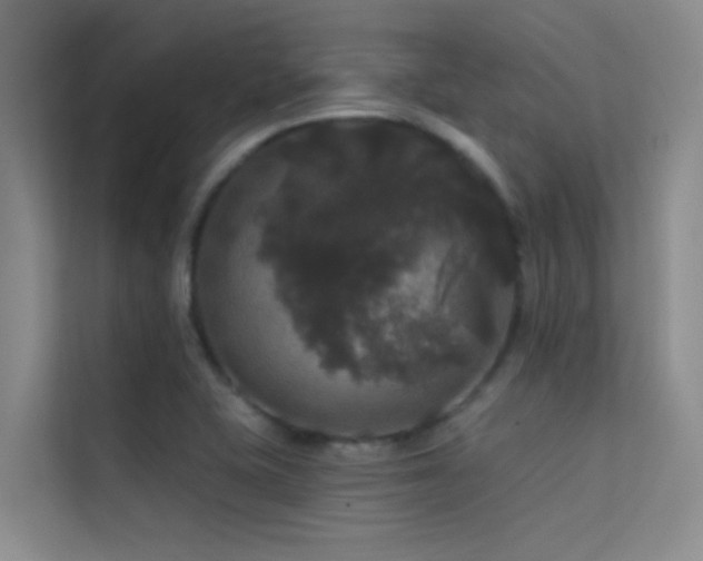 X0000114721415200910211338