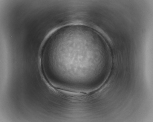 X0000114721416200910211338