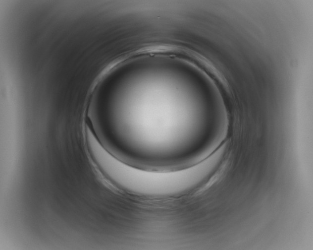 X0000114721417200910211338