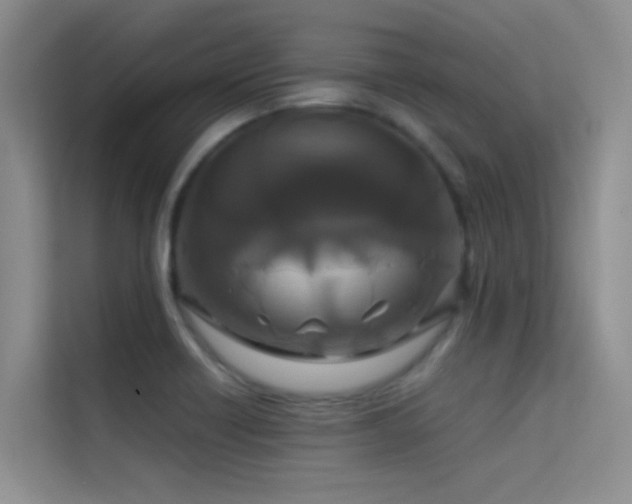 X0000114721418200910211338