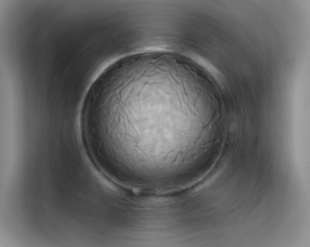 X0000114721423200910211338