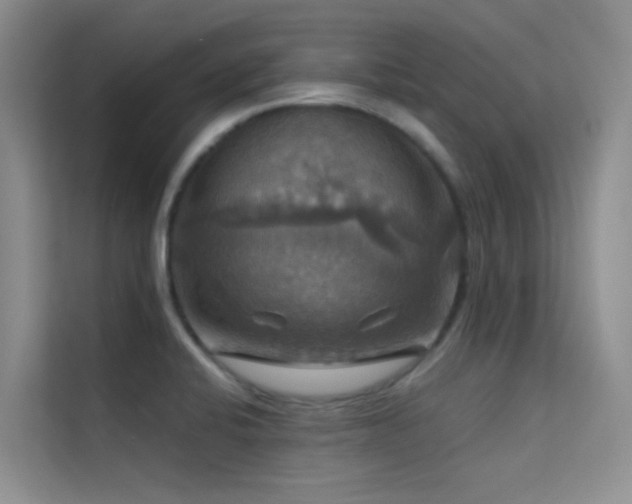 X0000114721424200910211338