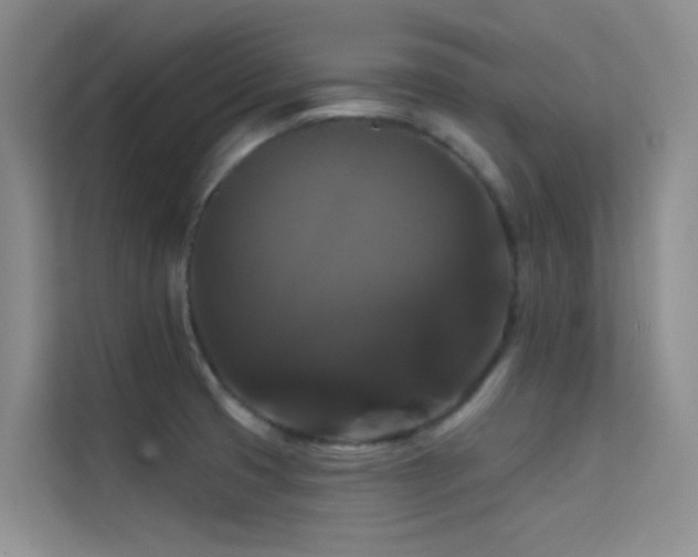 X0000114721425200910211338