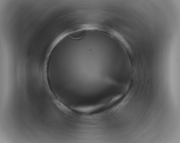 X0000114721427200910211338