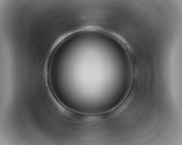 X0000114721430200910211338